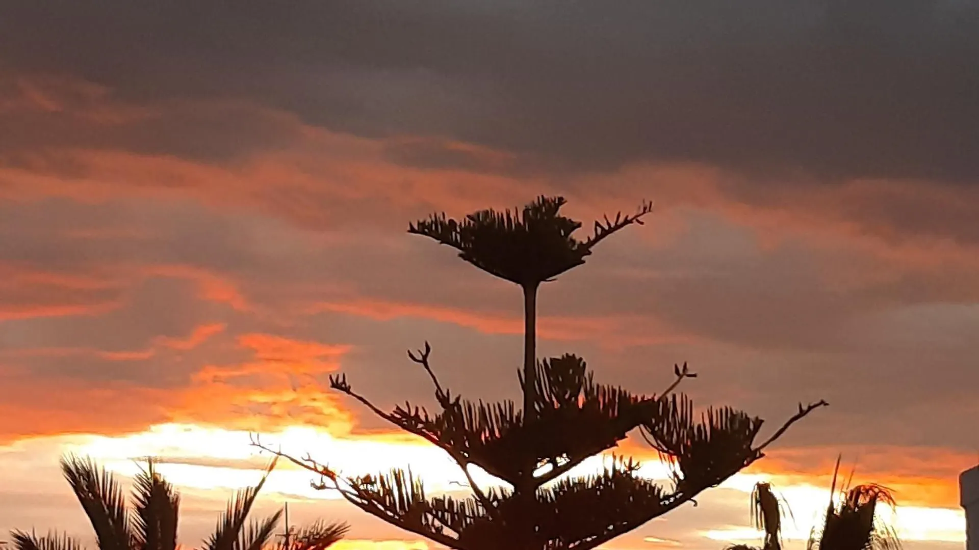 Las Gemelas De Terreros 1 San Juan de los Terreros Prázdninový dům